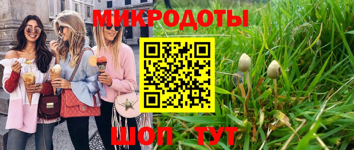 Галлюциногенные грибы GOLDEN TEACHER Грязи