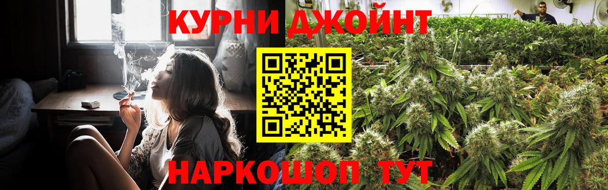 Каннабис планчик  Канабис Ganja  Грязи  Вход с VPN 